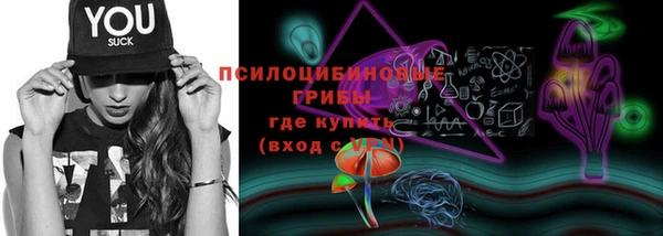 ECSTASY Абинск