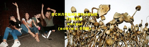 ECSTASY Абинск